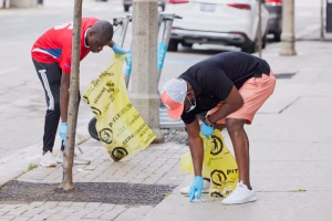 Park Cleanup